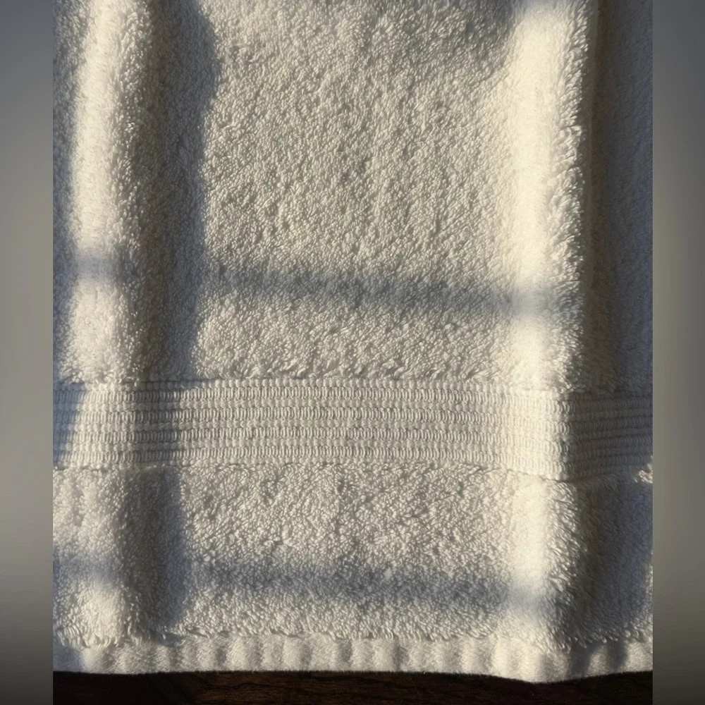 Set of 4 Hudson Park Collection hand towels